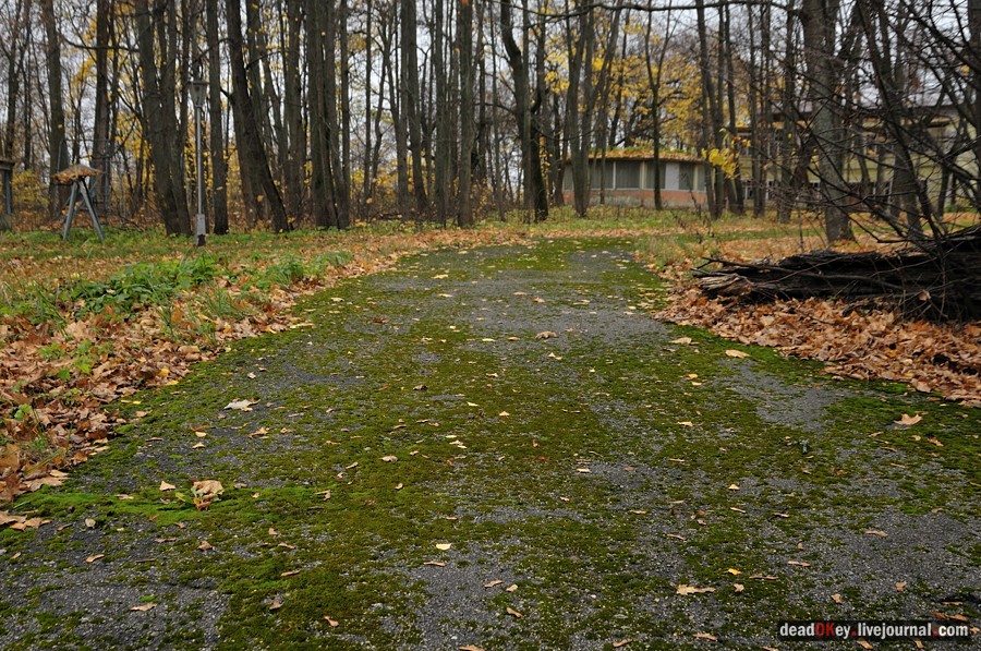 усадьба Жуково