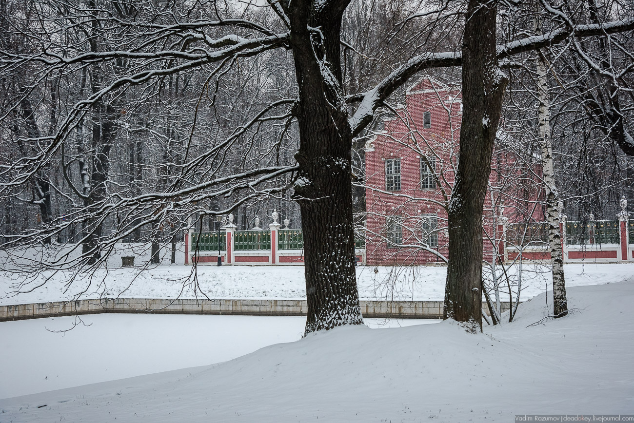 Усадьба Кусково зимой, 2018 год