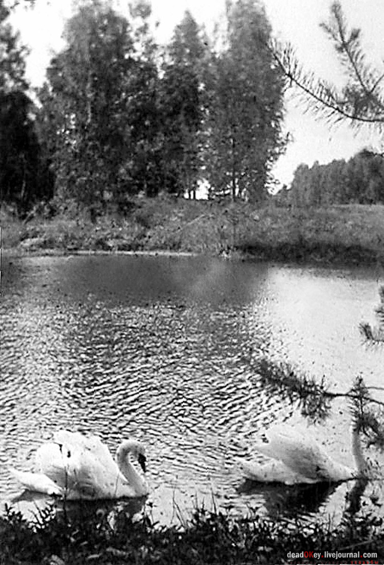 усадьба Архангельское-Тюриково, книга Храм Успения Пресвятой Богородицы