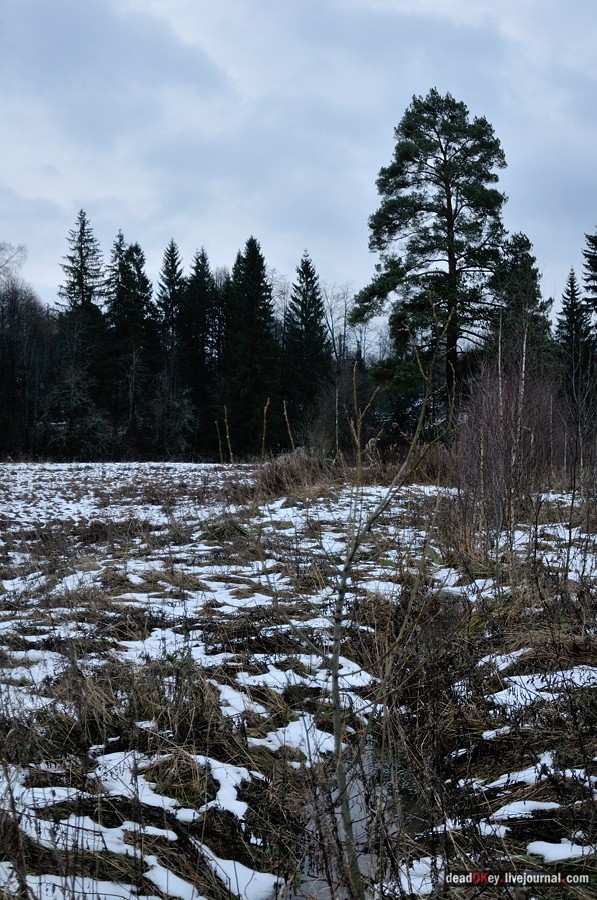 усадьба Ахтырка