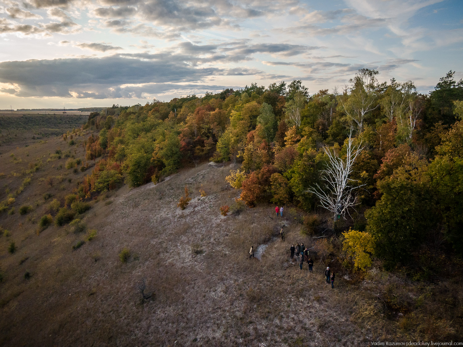 усадьба Полибино, Липецкая область, Усадебные волонтеры 21 сентября 2019 года