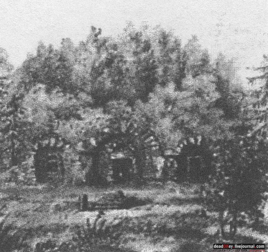 усадьба Митино, Торжокский район, Тверская область