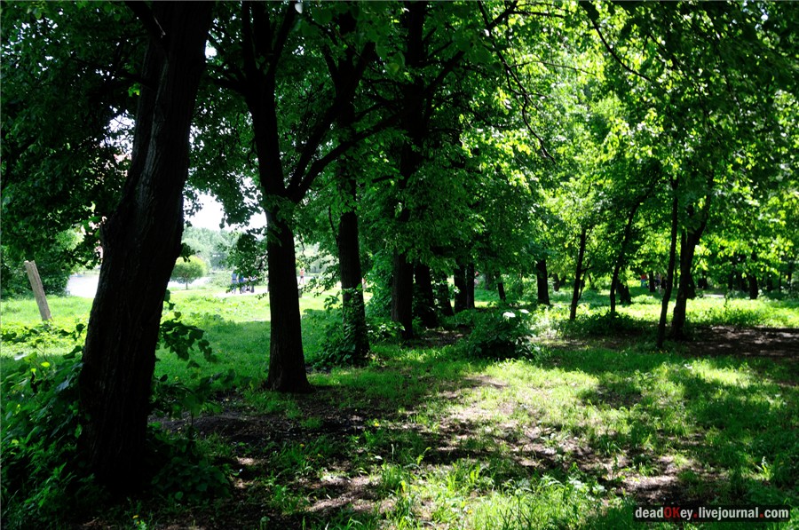 усадьба Наташино, Наташинские пруды