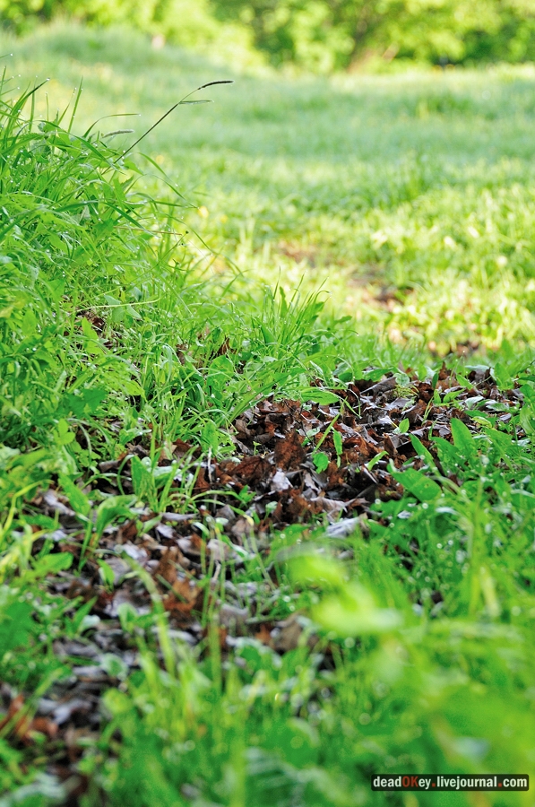 усадьба Прохорово