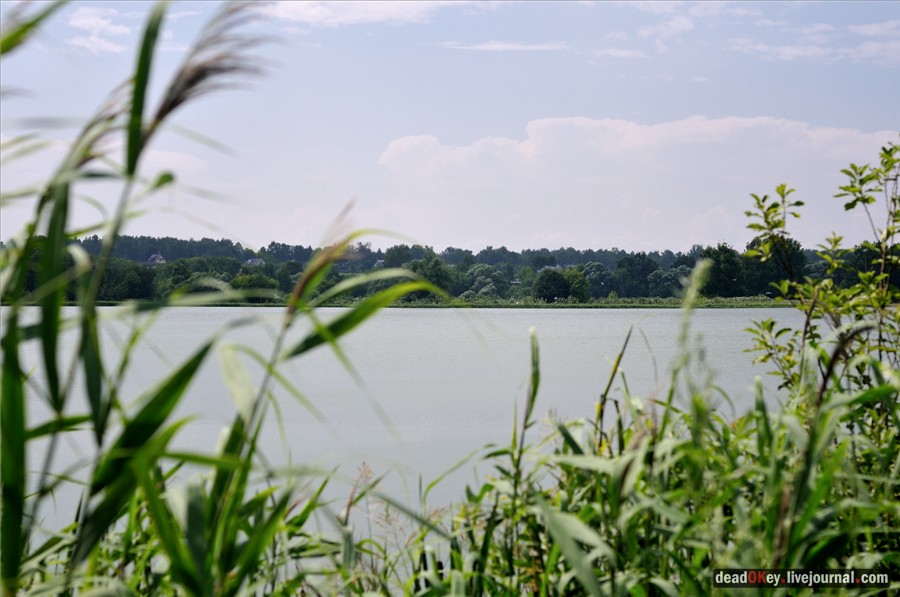 усадьба Образцово