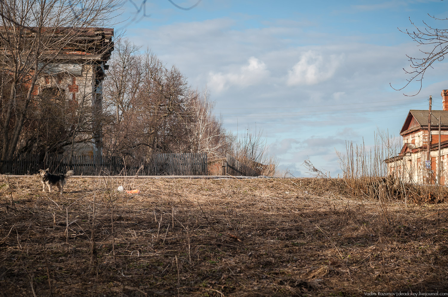 усадьба Соха