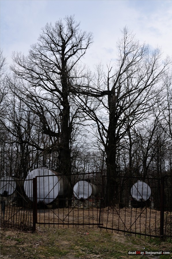 усадьба Городня