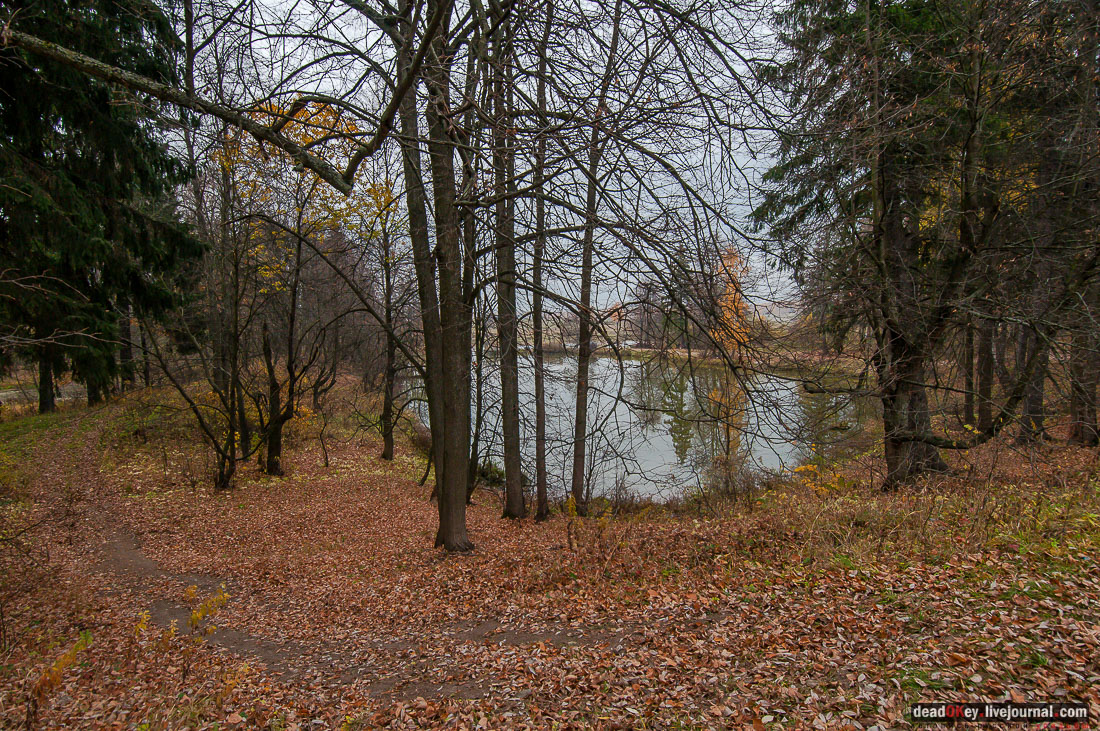 Усадьба Молоди