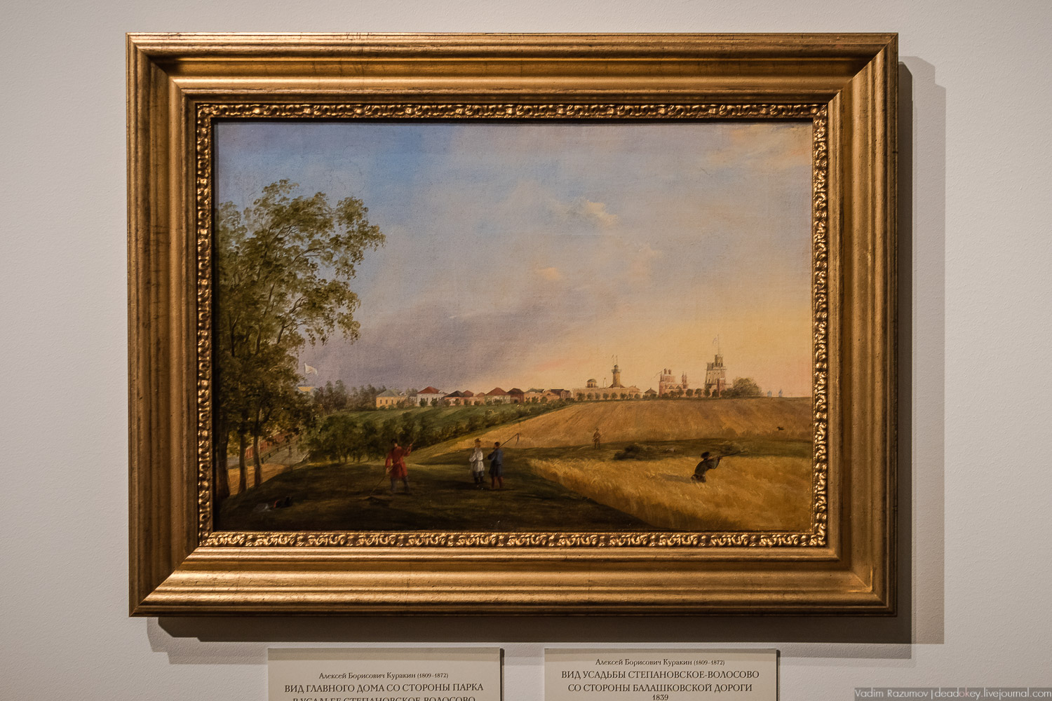 усадьба Степановское-Волосово, выставка Куракиных в ГИМ