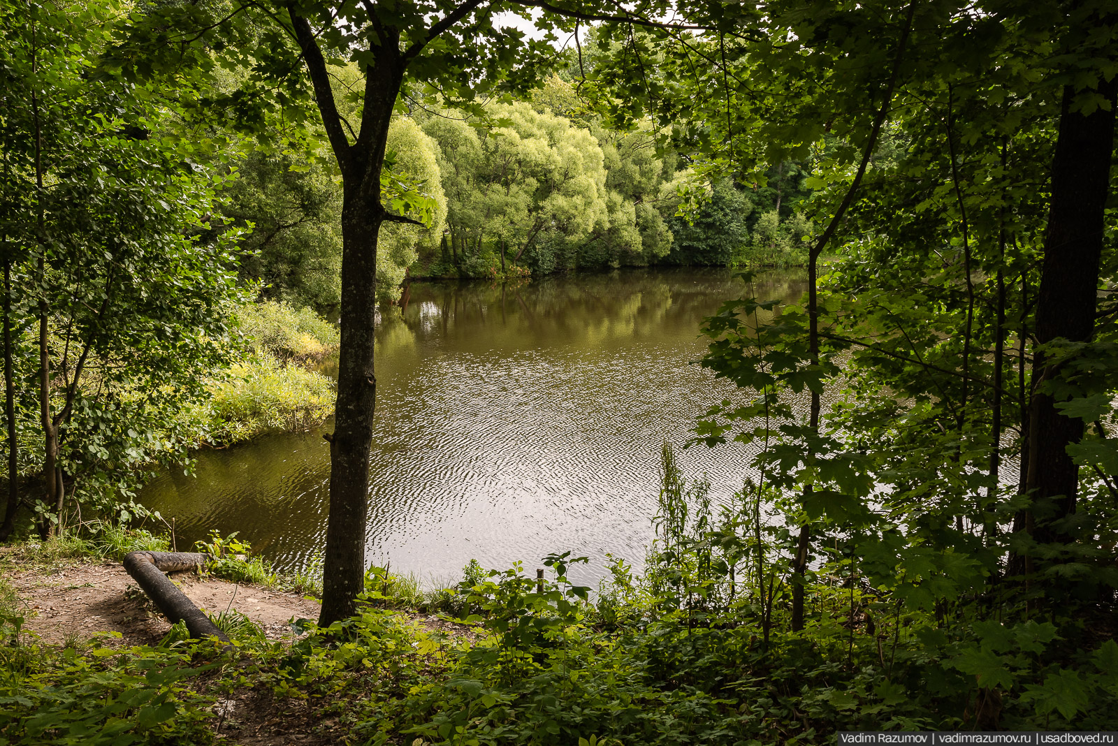 Усадьба Знаменка, Петергофская дорога