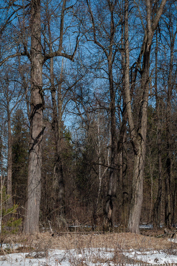 усадьба Доброе
