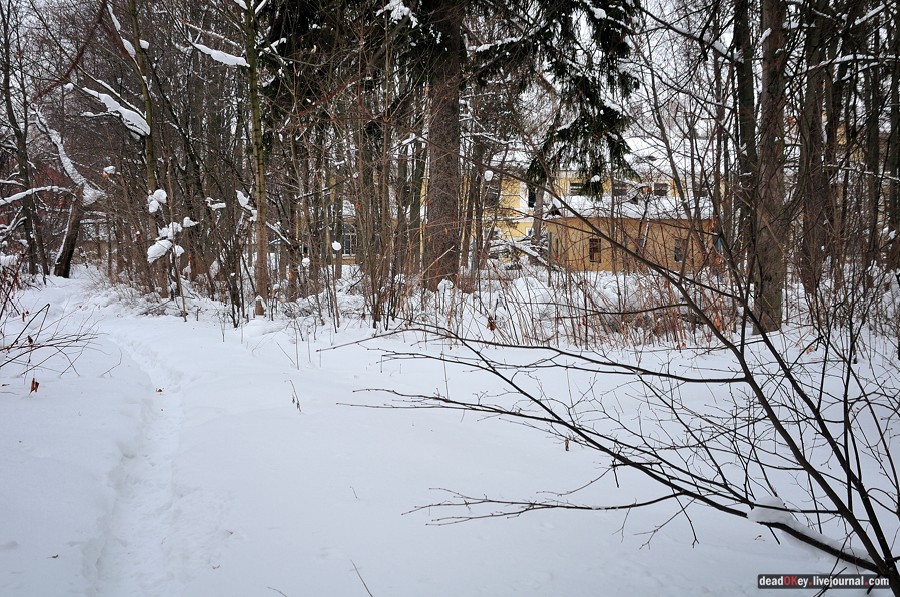 усадьба Дугино