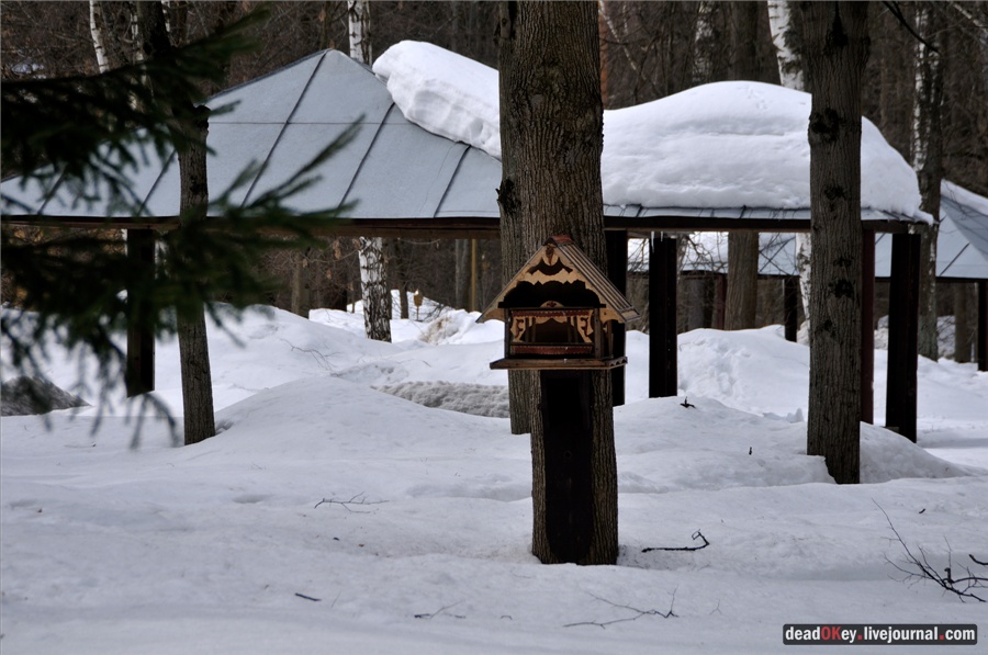 усадьба Райки