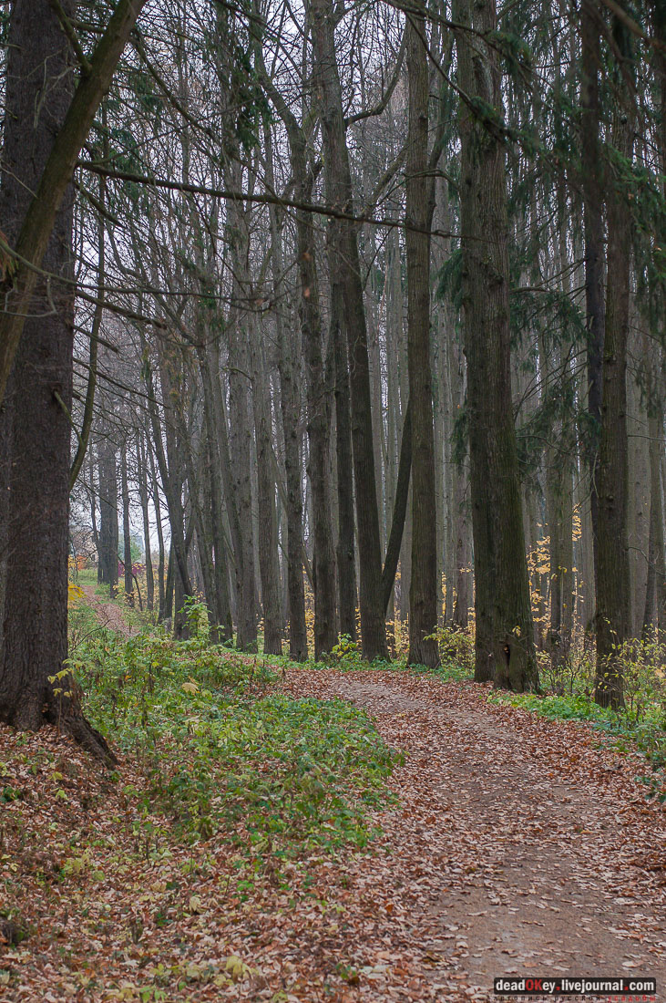 Усадьба Молоди