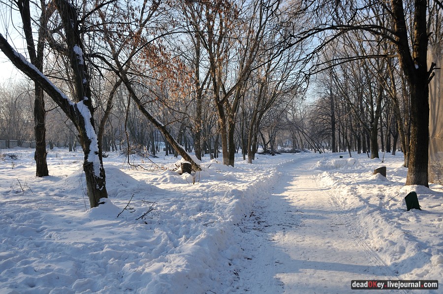 усадьба Люберцы