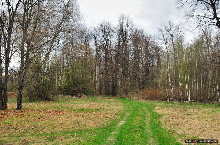усадьба Антипино