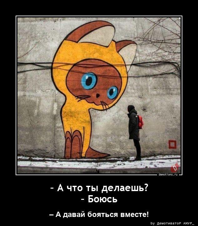 Коллекция свежих анекдотов и шуток