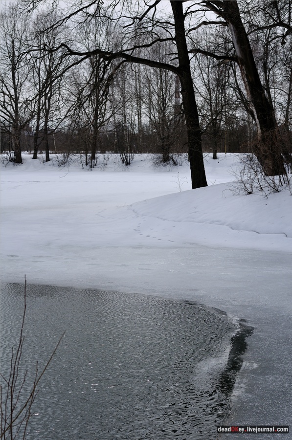 усадьба Райки