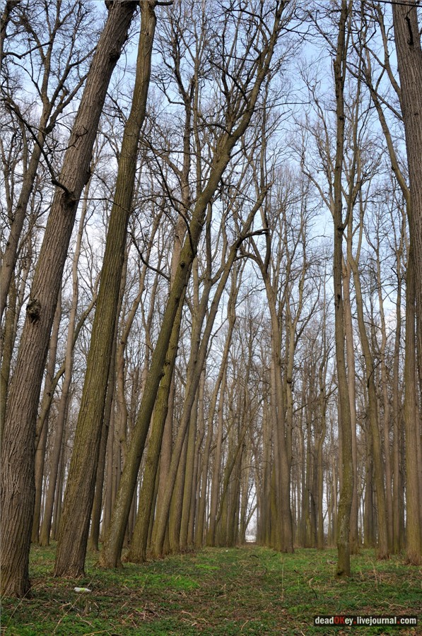 усадьба Городня