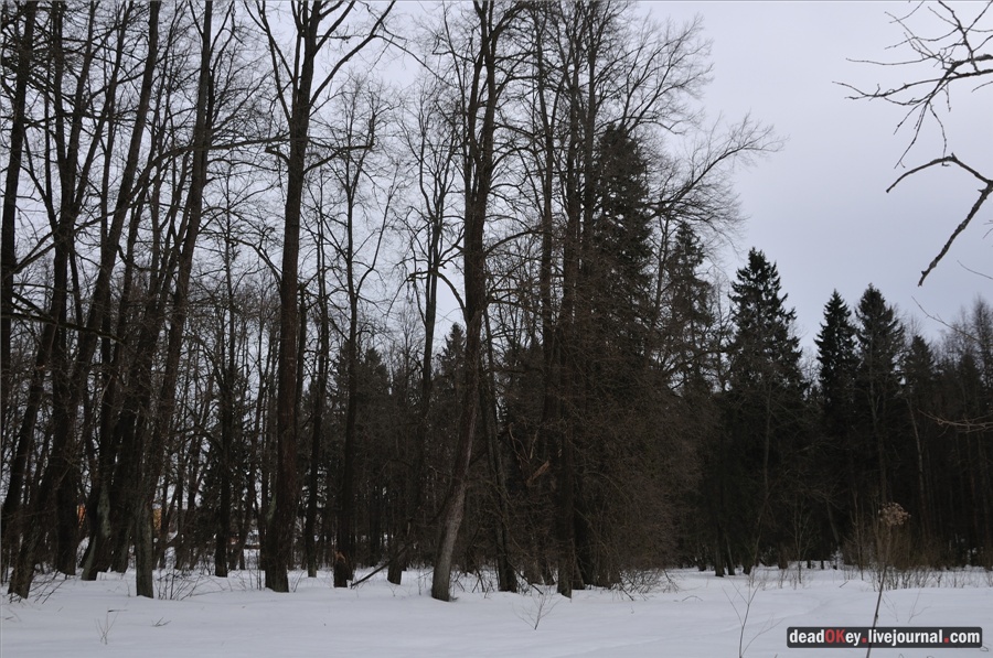 усадьба Ельдигино