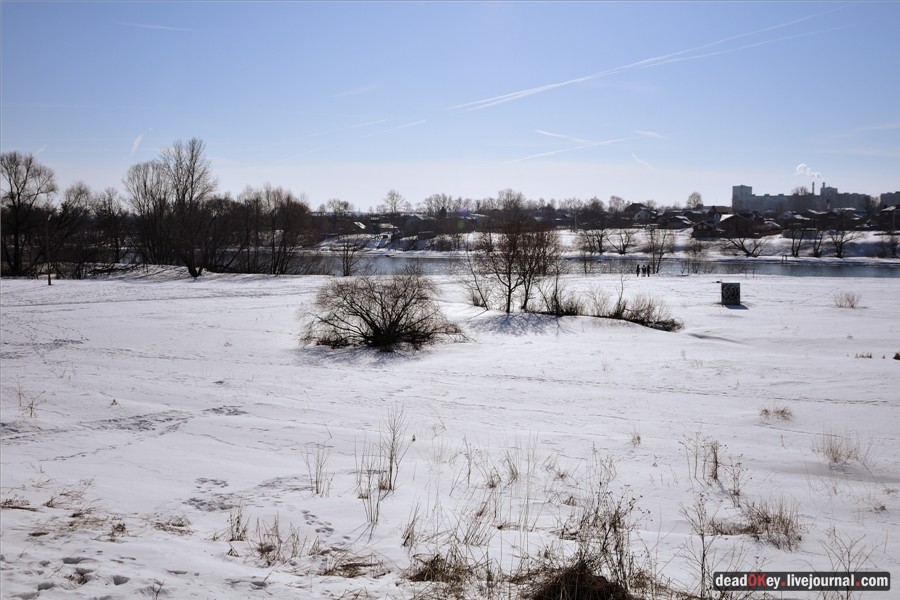 усадьба Кривякино