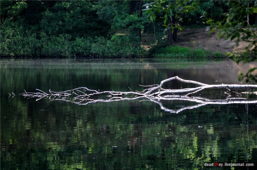 усадьба Алмазово