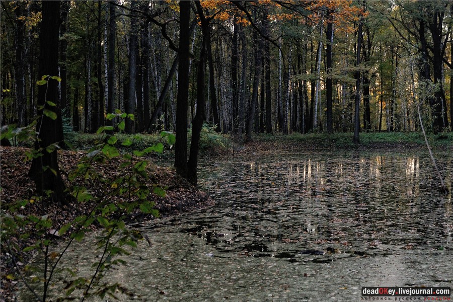 усадьба Петровское-Разумовское