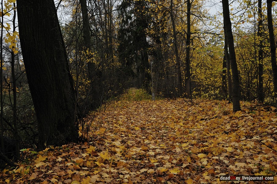 усадьба Жуково