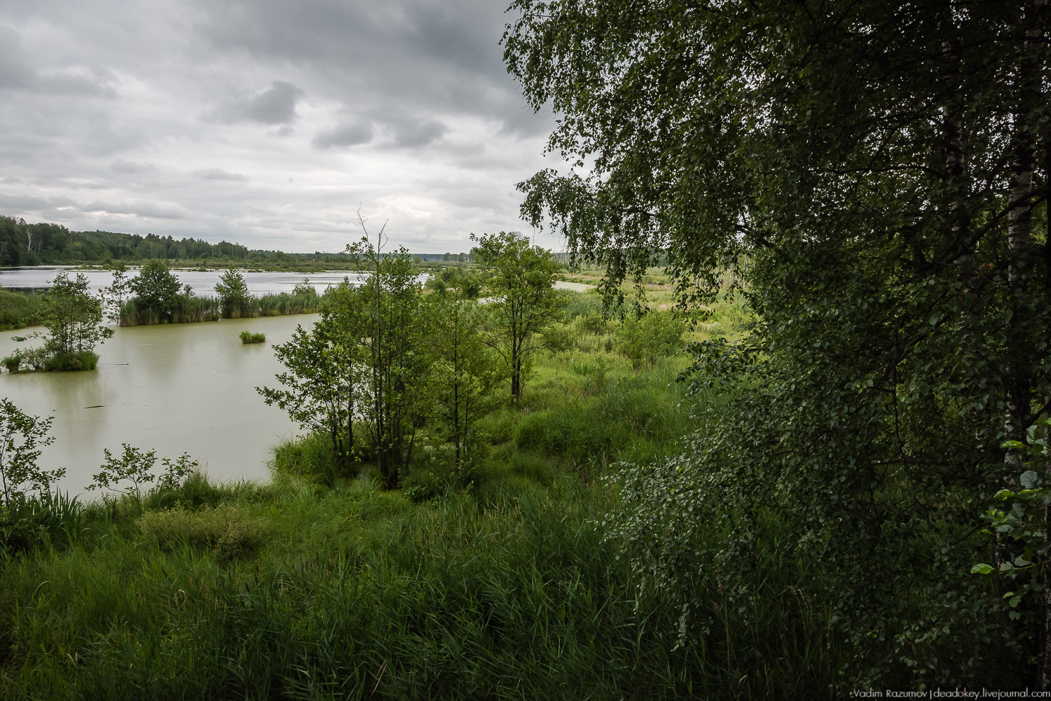 Лосиный остров