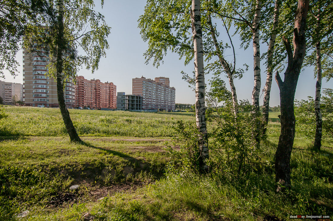 Пейзажный парк в усадьбе Гребнево