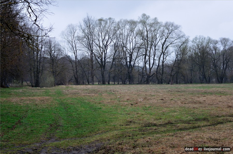усадьба Полотняный Завод Гончаровых