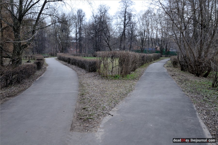 усадьба Кузьминки