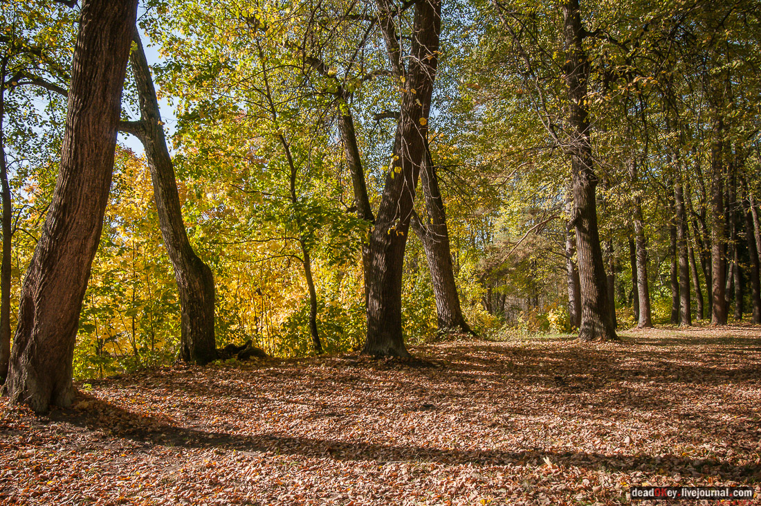 Памятники истории и культуры Ермолинского поселения Истринского района. Фотовыставка Вадима Разумов