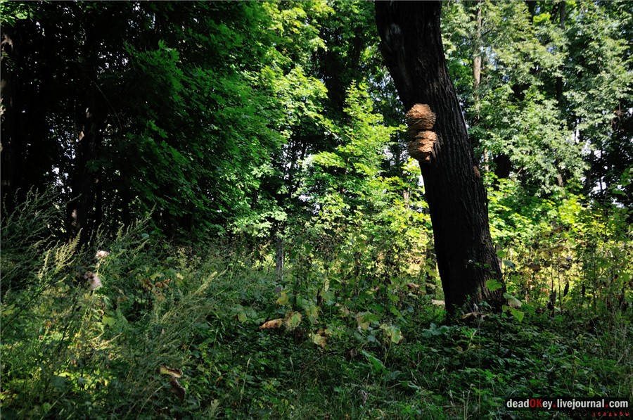 усадьба Никольское-Тимонино