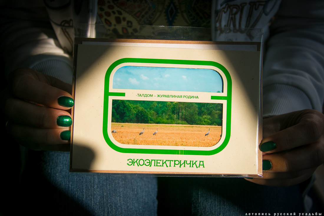 Экоэлектричка на родину журавлей в г. Талдом.