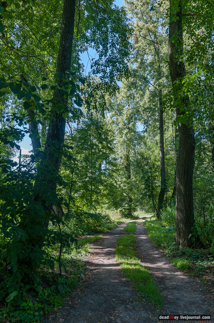 усадьба Потапово