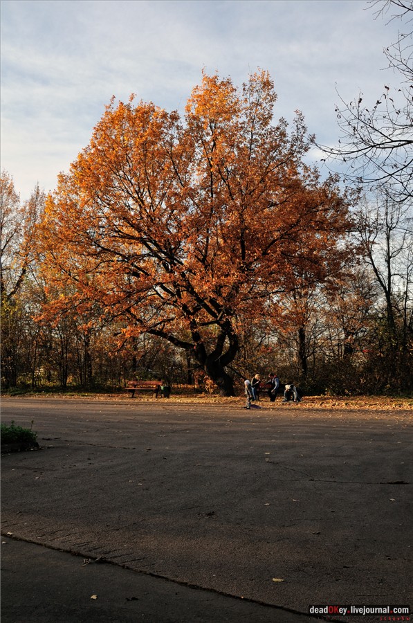 усадьба Кусково и Плющево