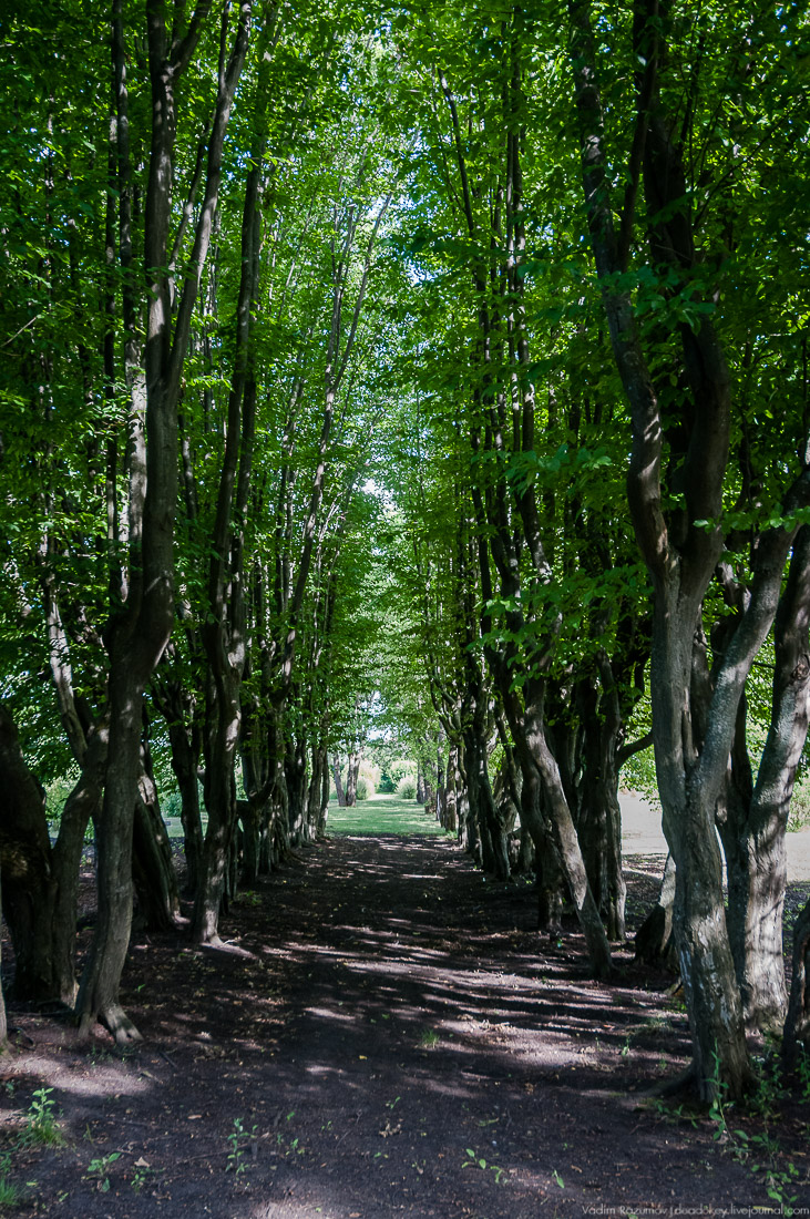 усадьба Барсуково