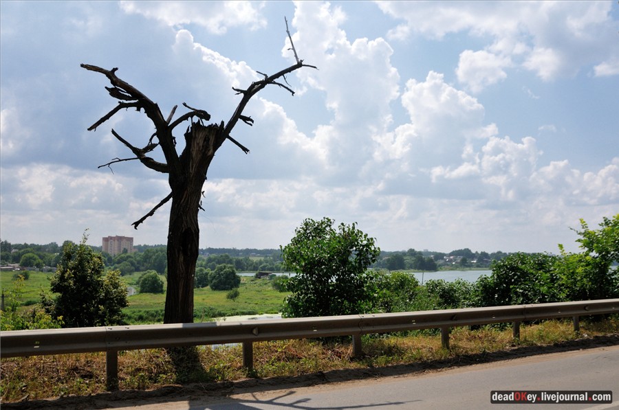 усадьба Образцово