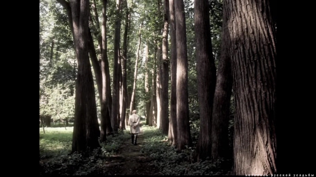 фильм Лев Толстой (1984), усадьба Ясная Поляна, Тульская область, Щекинский район, дер. Ясная Поляна.