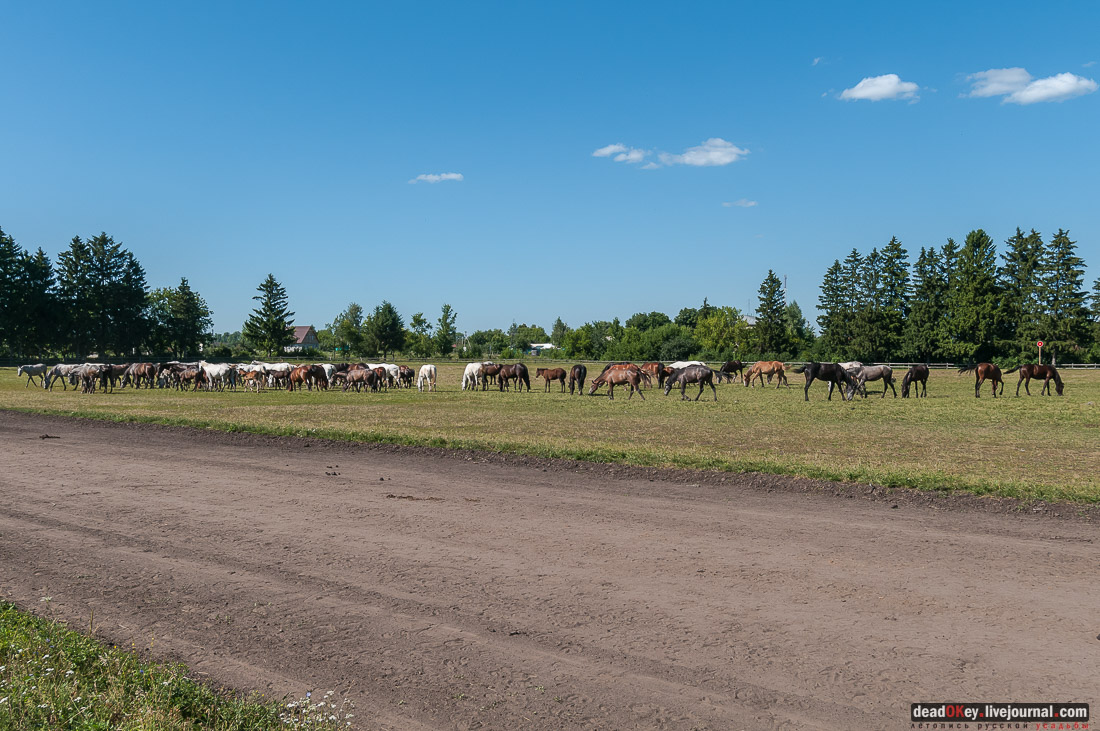 усадьба Новотомниково
