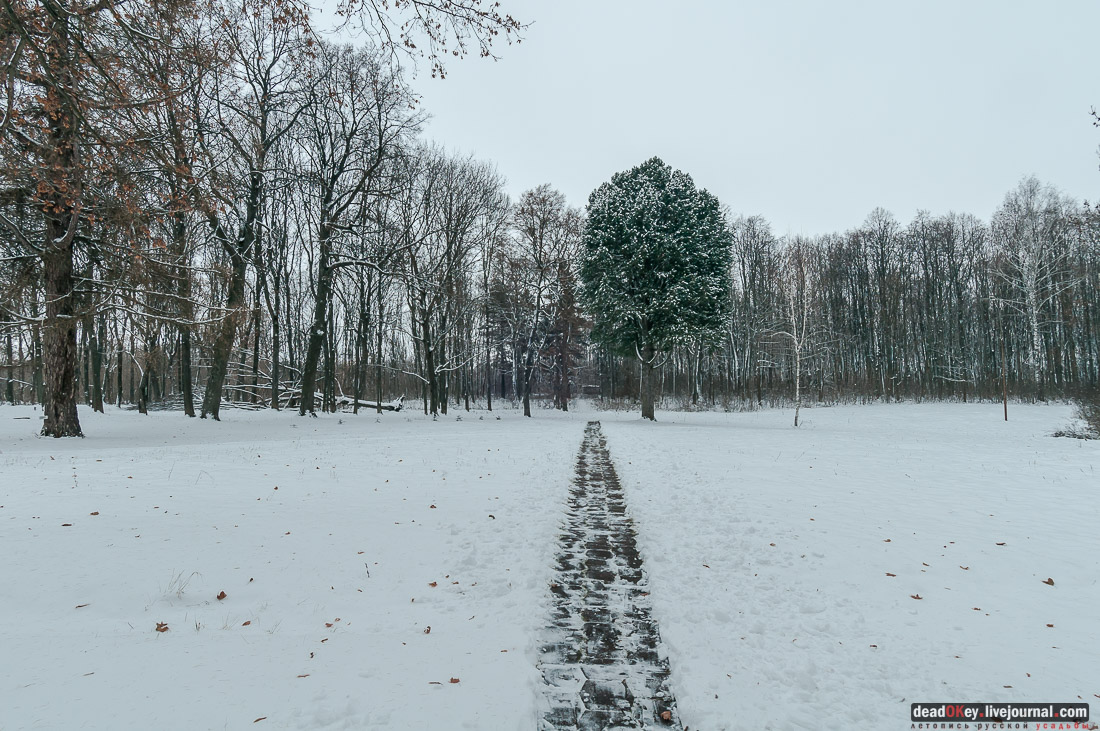 усадьба Рязанка