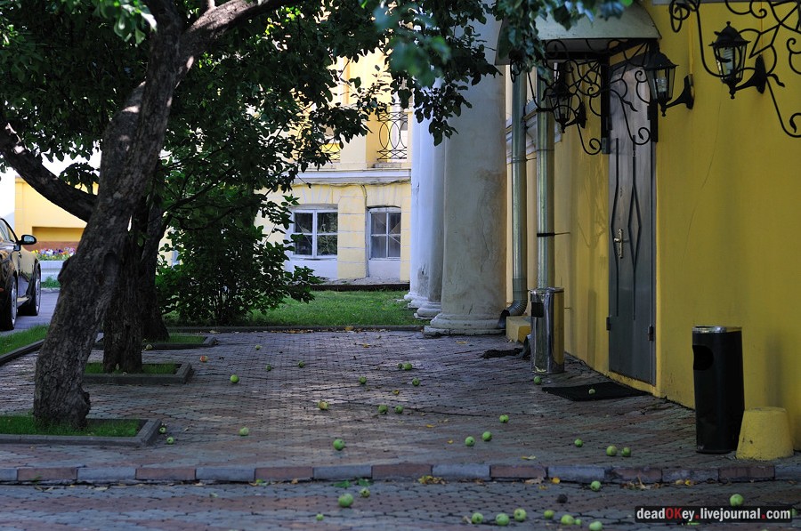 усадьба Соллогуба (городская усадьба Долгоруких или Дом Ростовых) на ул. Поварская д.52