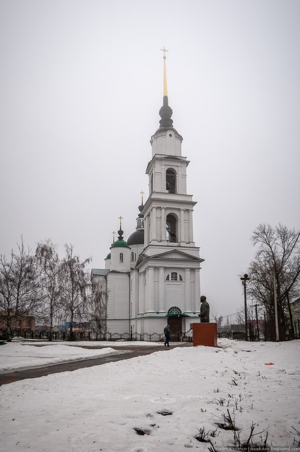 Дом академика Чаплыгина С.А., г. Чаплыгин, Липецкая область