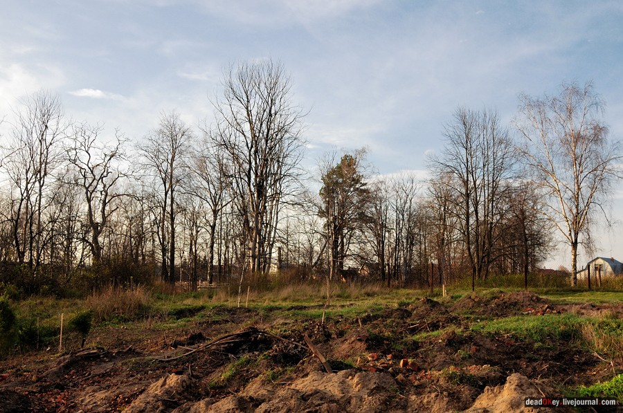усадьба Бережки