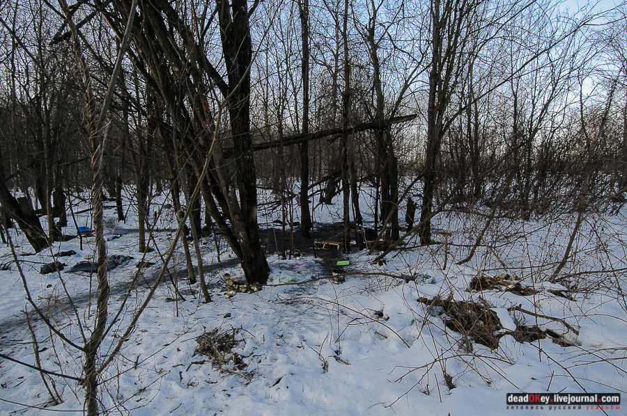 усадьба Виноградово