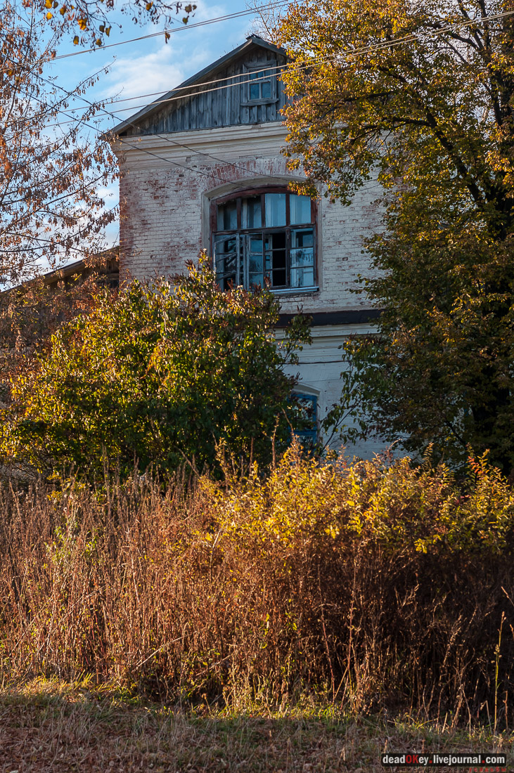 Костино