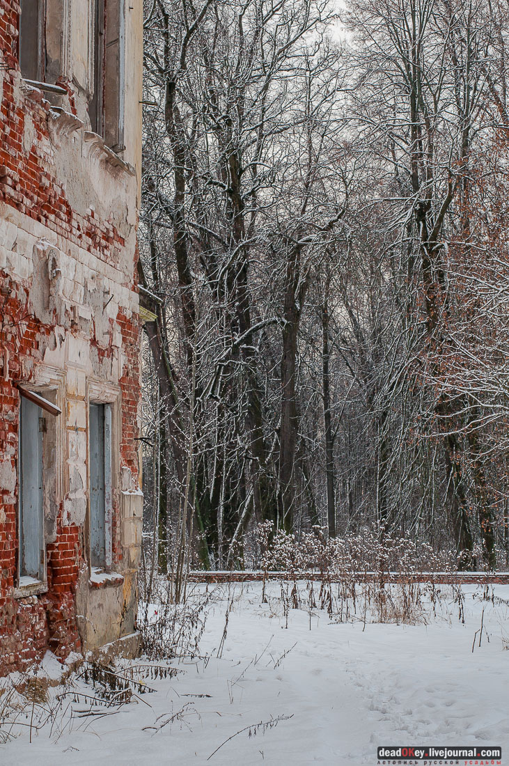 усадьба Гребнево, аукцион, съемки для телеканала Москва-24