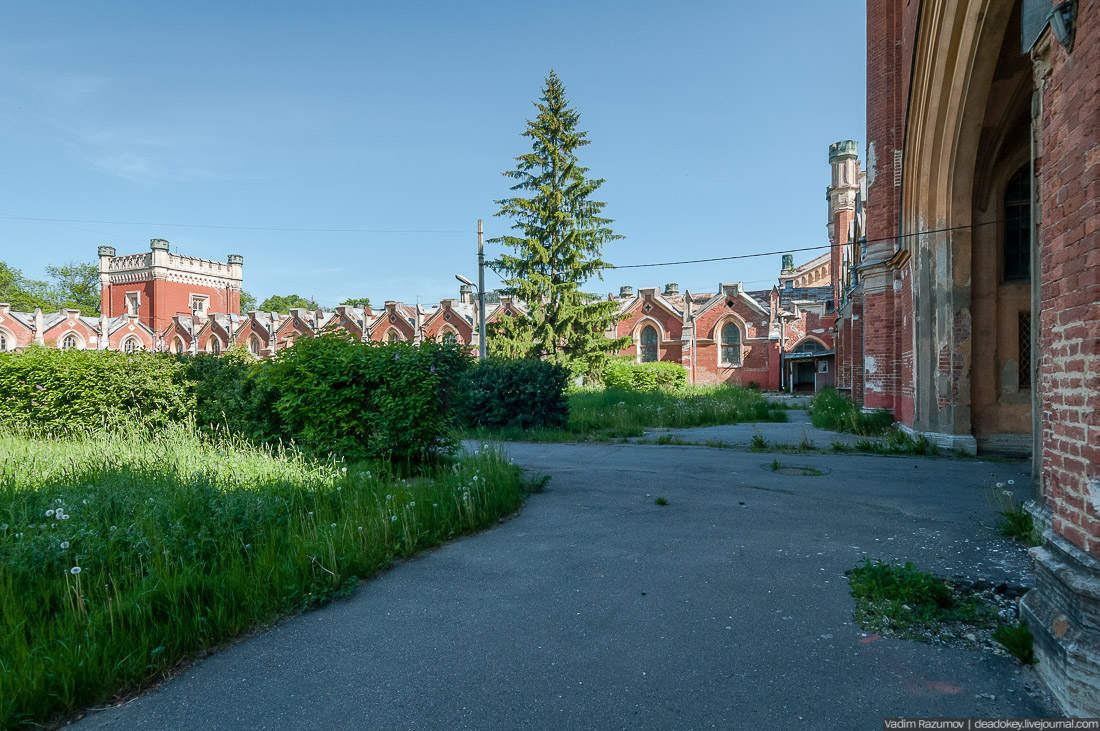 Петергофские конюшни