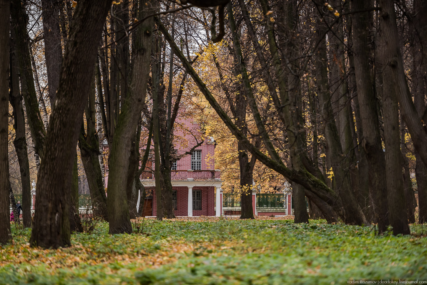 усадьба Кусково, осень 2018 года